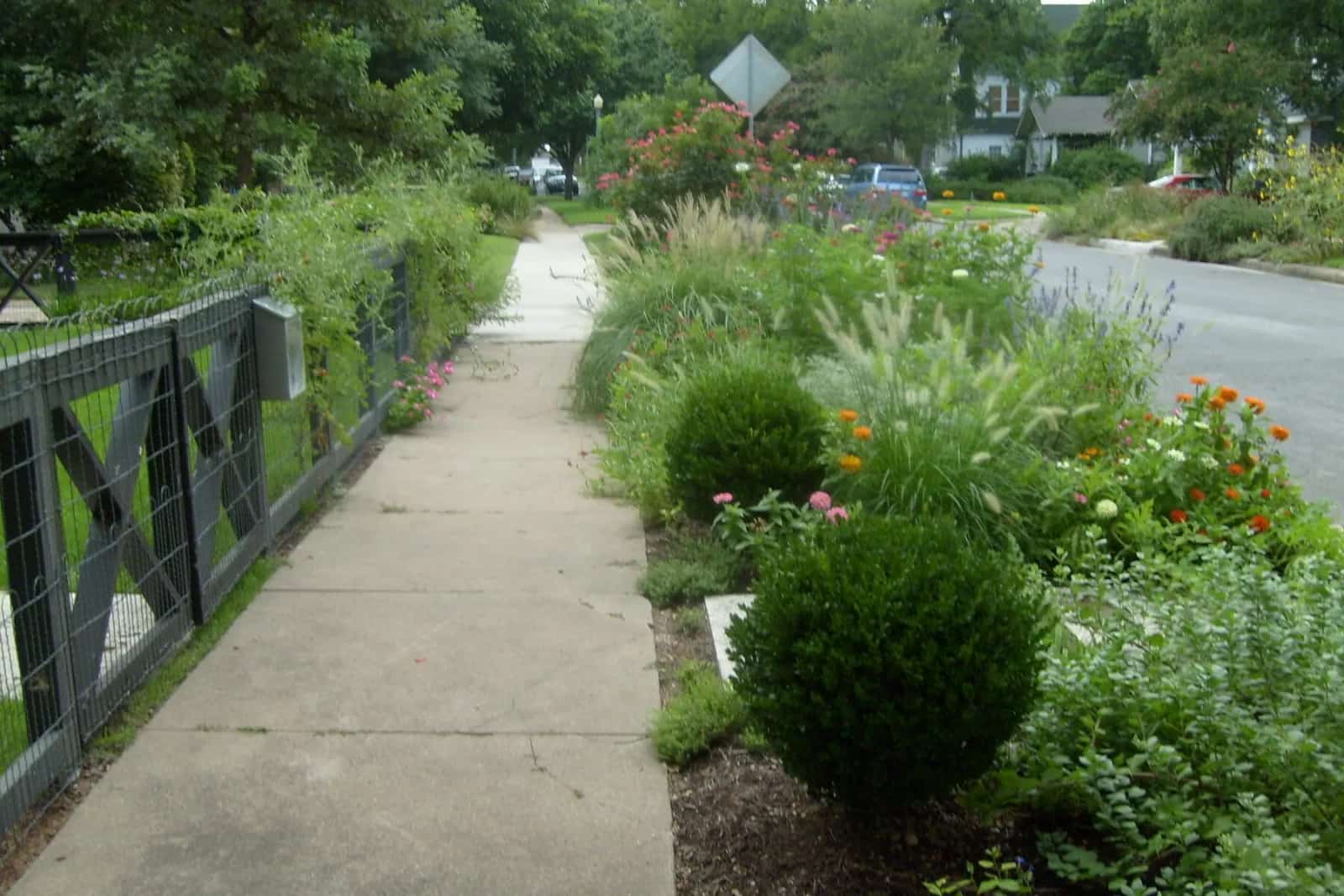 Austin cottage garden with flower border