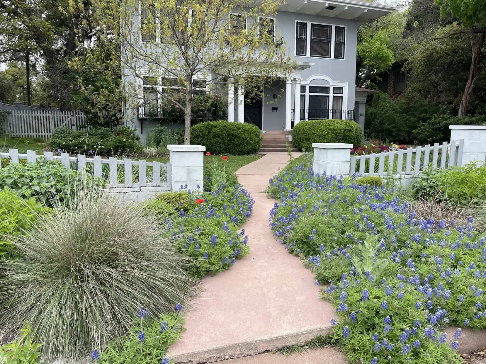 Landscape design by Cynthia Bond