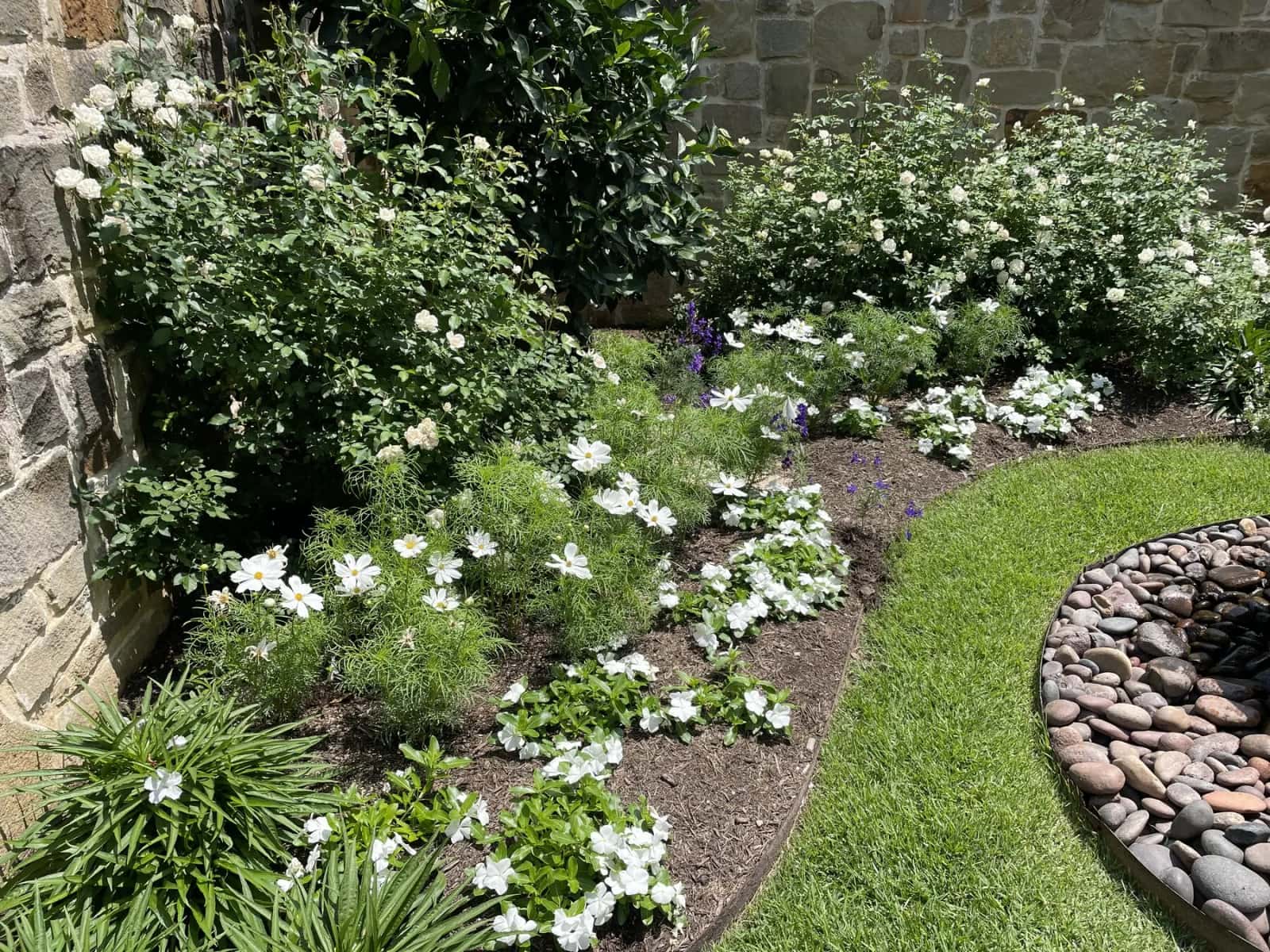 Austin garden designed by Cynthia Bond with layered planting