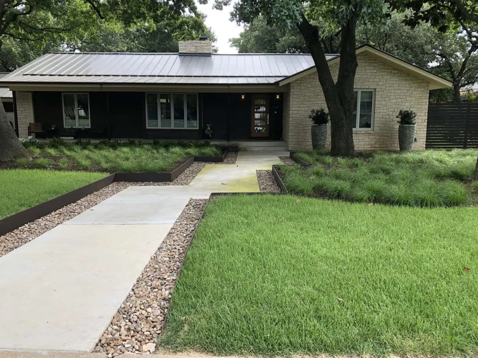 Reduced lawn Austin landscape with columnar hollies
