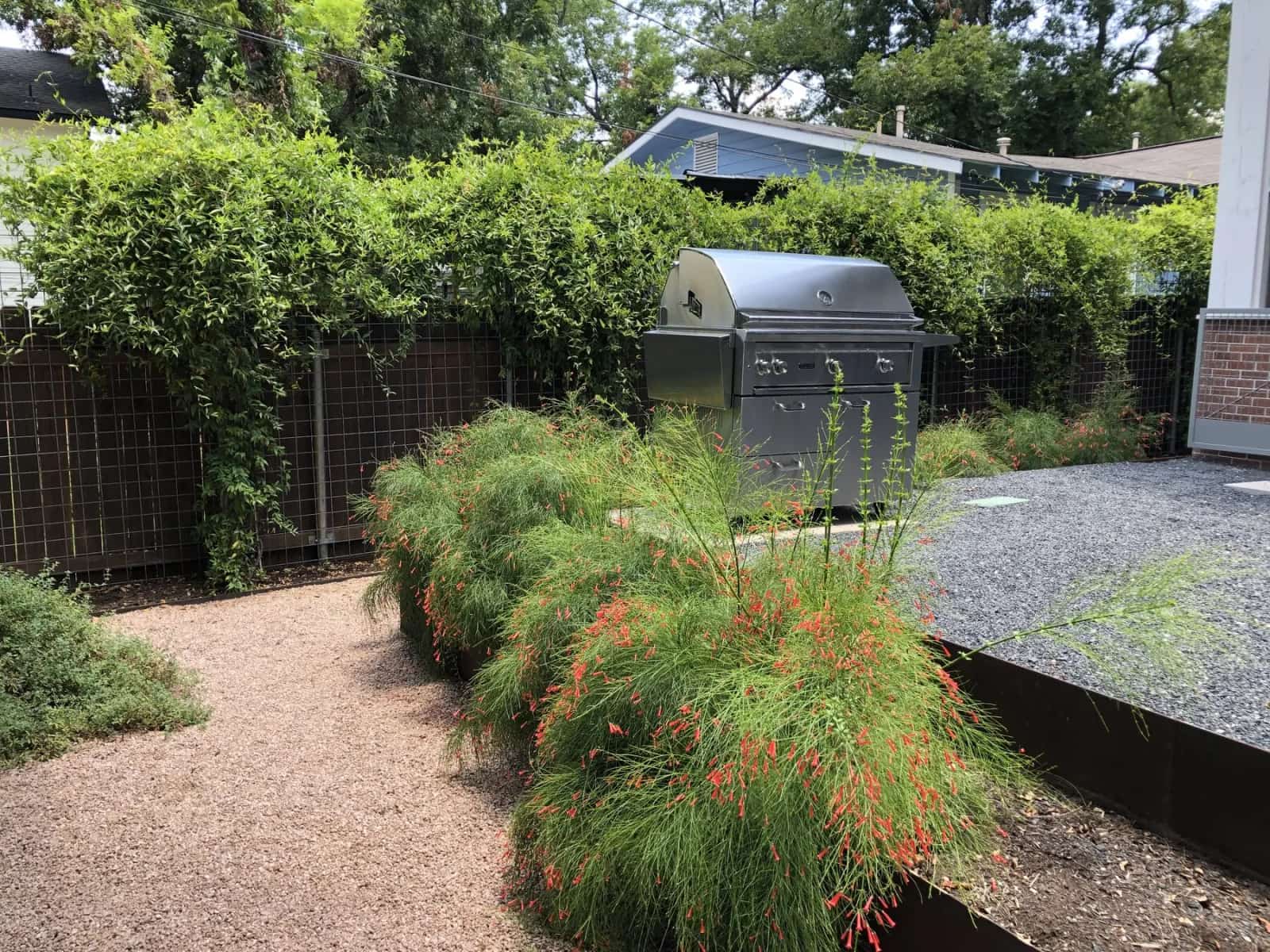 Simple Austin front yard planting design