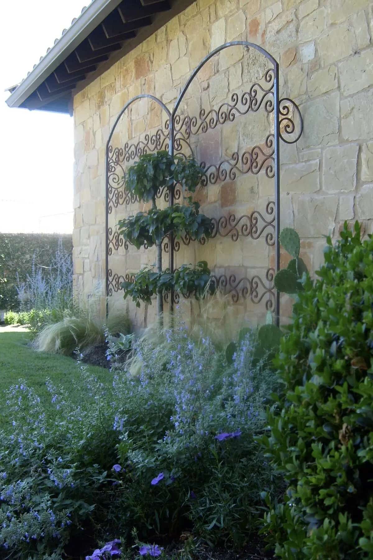 Tuscan style Austin courtyard garden