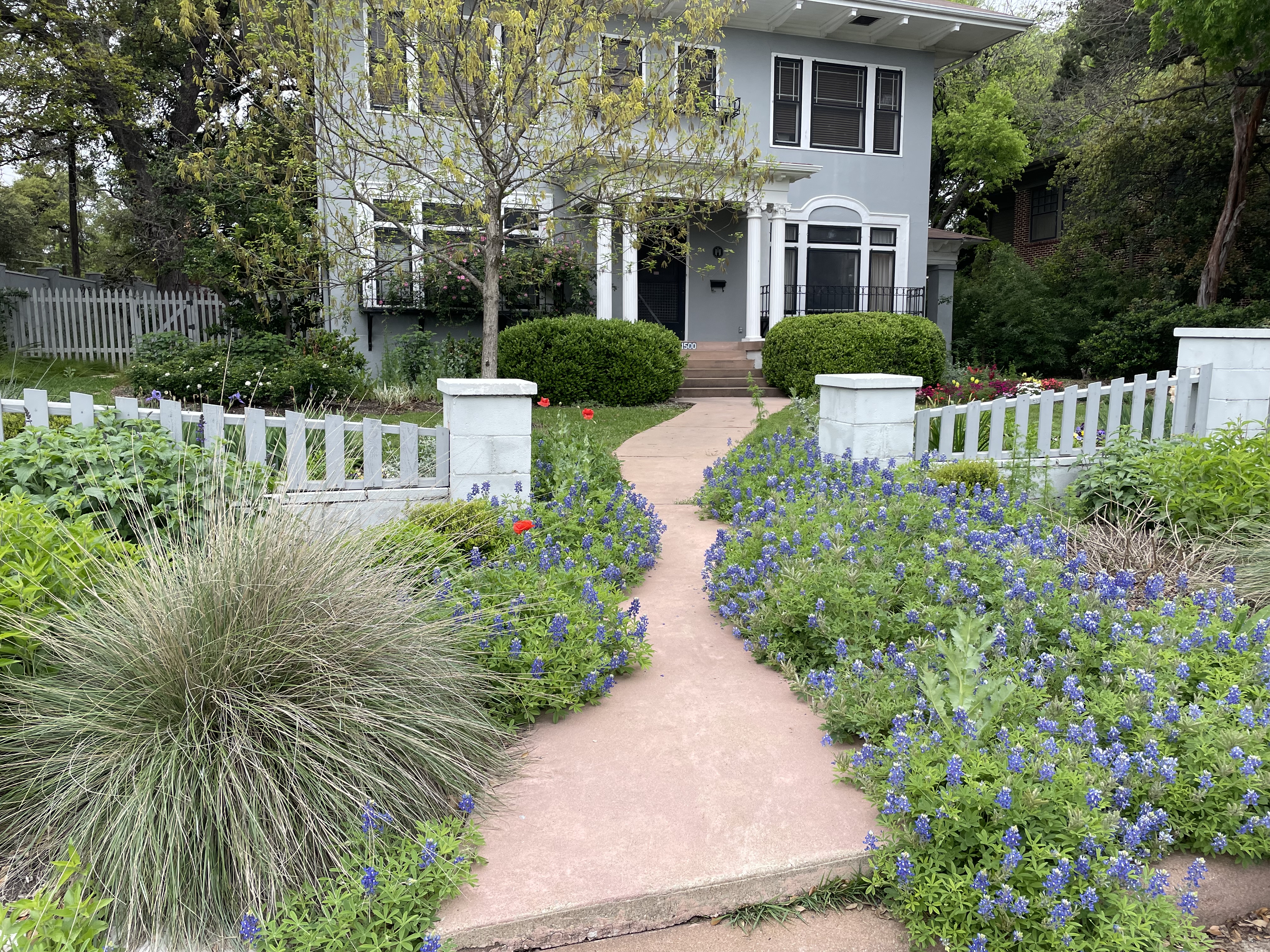 Landscape design by Cynthia Bond (1)